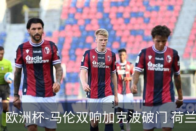 欧洲杯-马伦双响加克波破门 荷兰3-0罗马尼亚